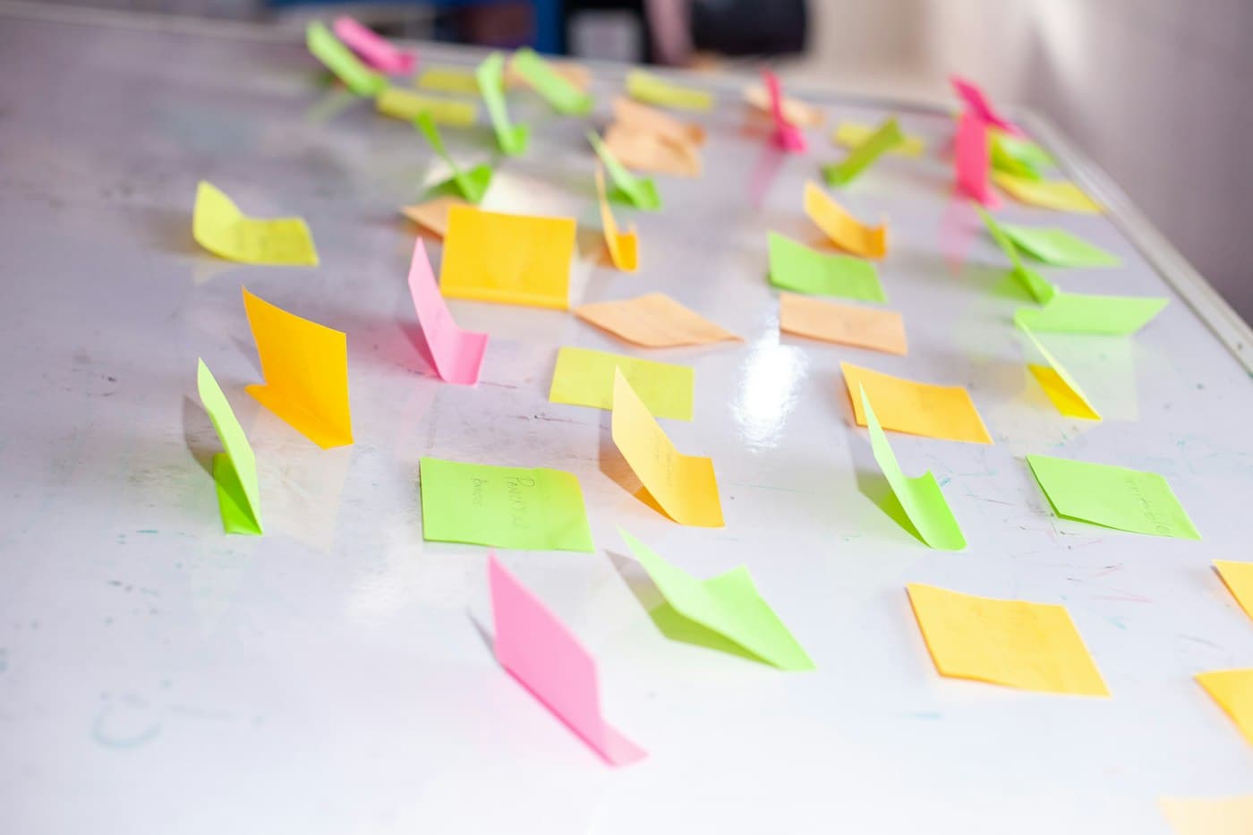 Human Capital Training & Capacity Development
